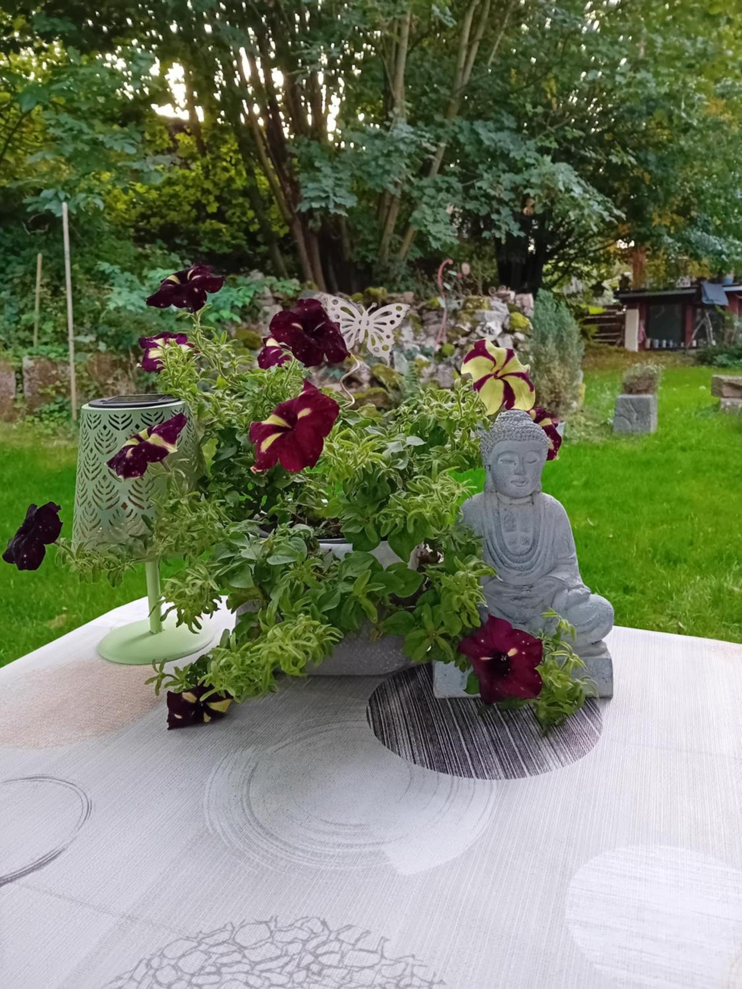 Ferienhaus Mit Garten Im Odenwald Zu Vermieten Frankisch-Crumbach エクステリア 写真